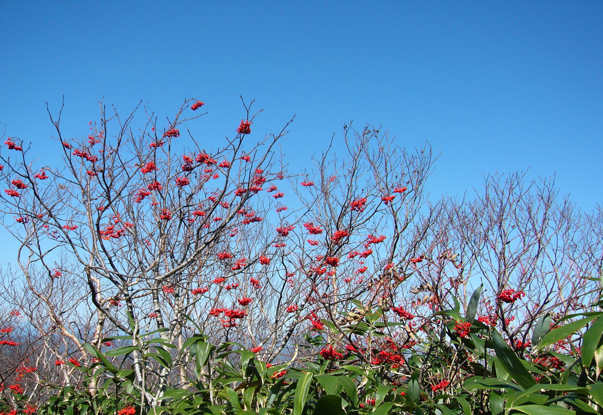 須川コース2013_10_14_1152