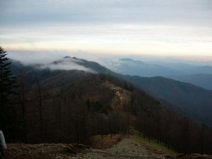 奥多摩小屋のテン場
