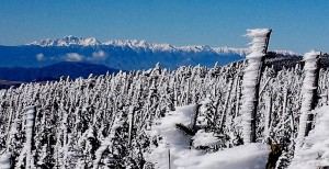 151220_1212_縞枯山から北アルプス